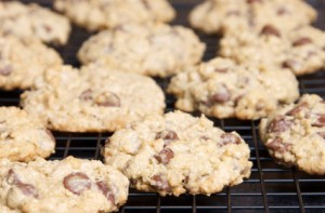 walnut chocolate chip cookies