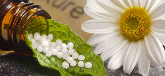 homeopathic medicine, naturopathy