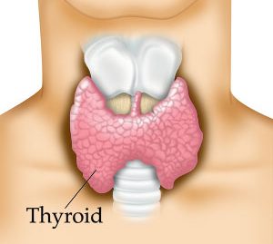 thyroid health Calgary