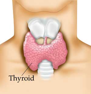thyroid health Calgary